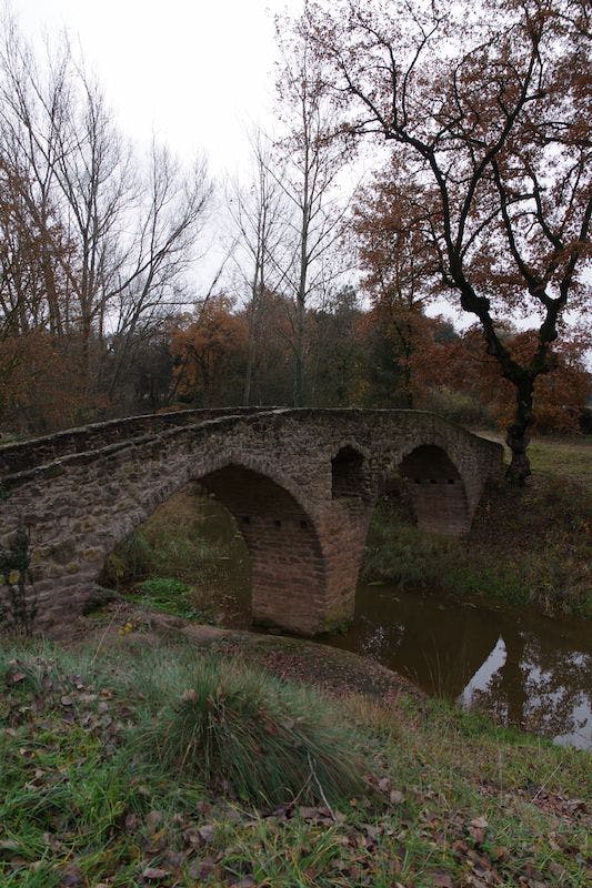Escapada al Pont Medieval de Sant Martí d'Albars - 1