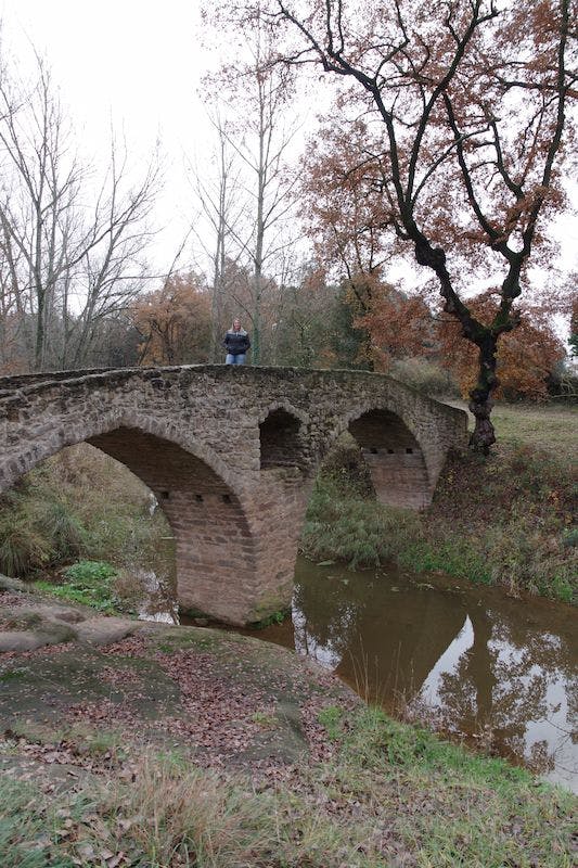 Escapada al Pont Medieval de Sant Martí d'Albars - 1
